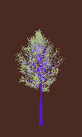 greenshift tree