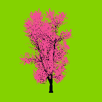 greenshift tree