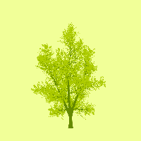 greenshift tree