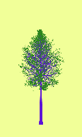 greenshift tree