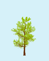 greenshift tree