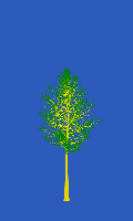 greenshift tree