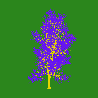 greenshift tree