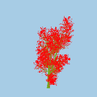 greenshift tree