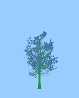 greenshift tree
