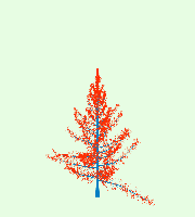 greenshift tree