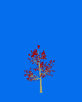 greenshift tree