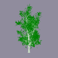 greenshift tree