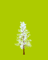 greenshift tree