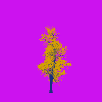 greenshift tree