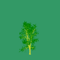 greenshift tree