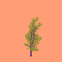 greenshift tree