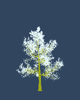 greenshift tree