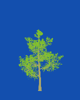greenshift tree