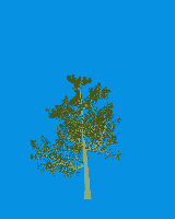 greenshift tree