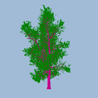 greenshift tree