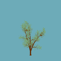 greenshift tree