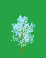 greenshift tree