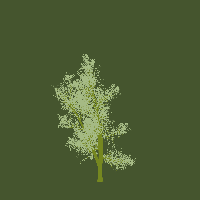 greenshift tree