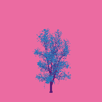 greenshift tree
