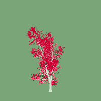 greenshift tree