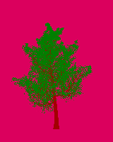greenshift tree