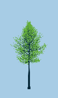 greenshift tree