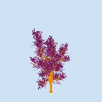 greenshift tree