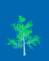 greenshift tree
