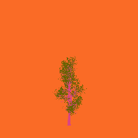 greenshift tree