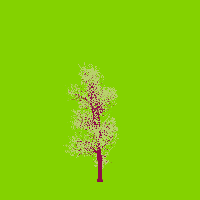 greenshift tree