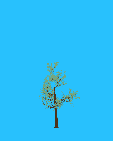 greenshift tree