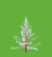 greenshift tree