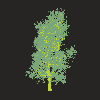 greenshift tree