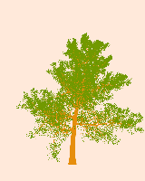 greenshift tree