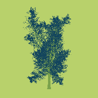 greenshift tree