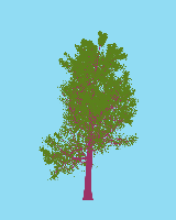 greenshift tree