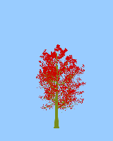 greenshift tree