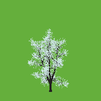 greenshift tree