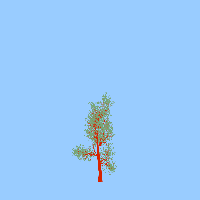 greenshift tree