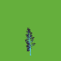 greenshift tree