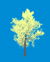 greenshift tree