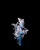 greenshift tree