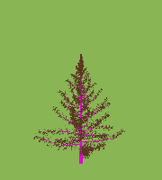greenshift tree