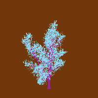 greenshift tree