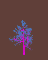 greenshift tree