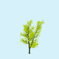 greenshift tree