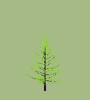 greenshift tree