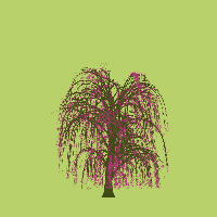 greenshift tree