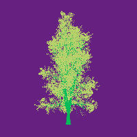greenshift tree